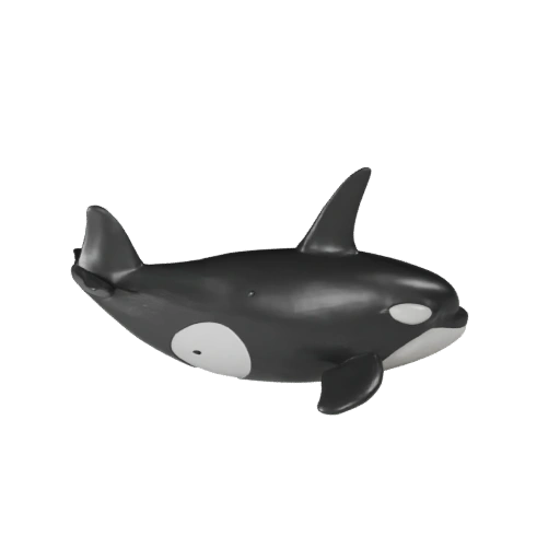 Modelo 3D de Orca Caricatura - Activo Estilizado para Animación | Libre de Regalías