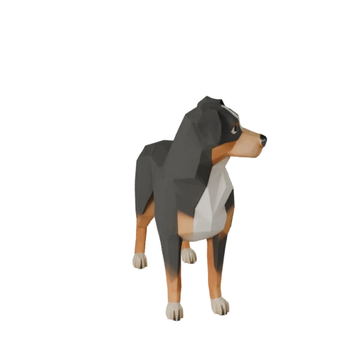 Modello 3D Pastore Australiano Low Poly - Asset Unity con FBX