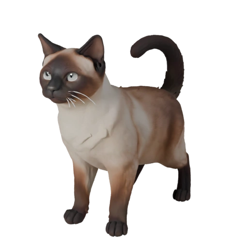 Modello 3D Gatto Siamese Realistico - Asset PBR Rigged per Giochi