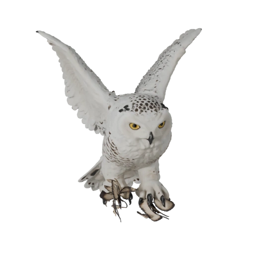 Realistische Schneeeule 3D-Modell - Rigged PBR Asset für Spiele | PBR