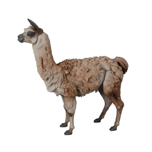 Lama 3D Modell für Unity - Spielfertiges Asset, FBX | Lizenzfrei