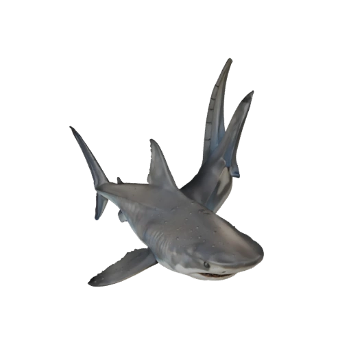Modelo 3D realista de tiburón martillo - Activo PBR rigged para juegos