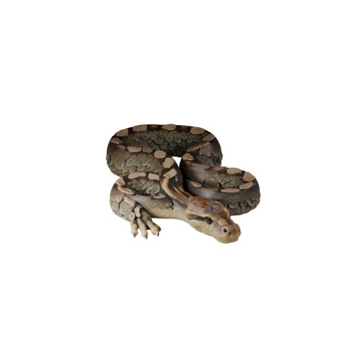 Cartoon Reticulated Python 3D Model - Stylized Asset for Animation