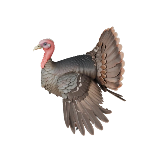 Modèle 3D de dinde pour Blender - Asset PBR avec Textures | Libre de droits