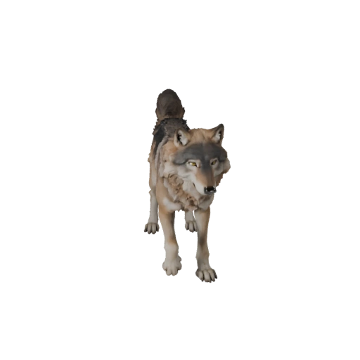 Realistischer Wolf 3D-Modell - Rigged PBR Asset für Spiele | Lizenzfrei