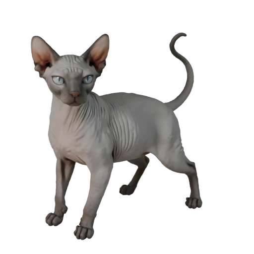 Sphynx Katze 3D Modell für Blender - PBR Asset mit Texturen | PBR