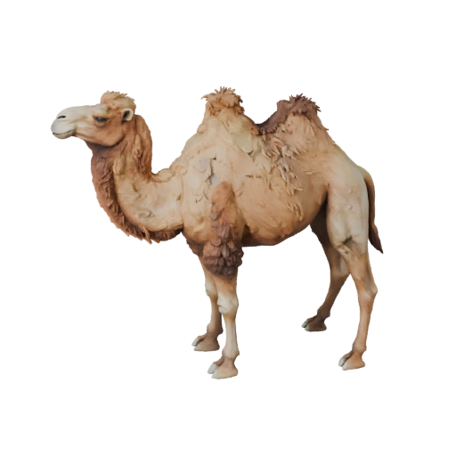 Modèle 3D de Chameau pour Blender - Asset PBR avec Textures | Libre de Droits
