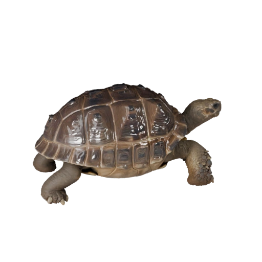 Modelo 3D Tortuga de Galápagos para Blender - Activo PBR con Texturas