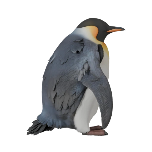 Penguin 3D Model for Unity - Game Ready Asset, FBX | Royalty-Free
