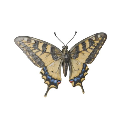 Modelo 3D de Borboleta Cauda de Andorinha de Alto Poligonagem - Asset STL para Impressão