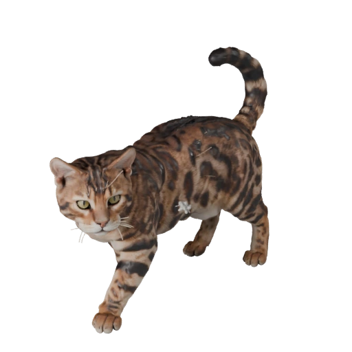 Modello 3D Gatto Bengala per Unity - Asset Pronto per il Gioco, FBX | Royalty-Free