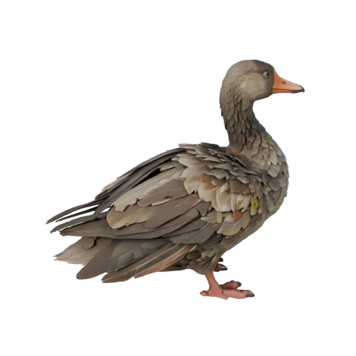 Modèle 3D d'oie pour Blender - Asset PBR avec Textures | Libre de droits