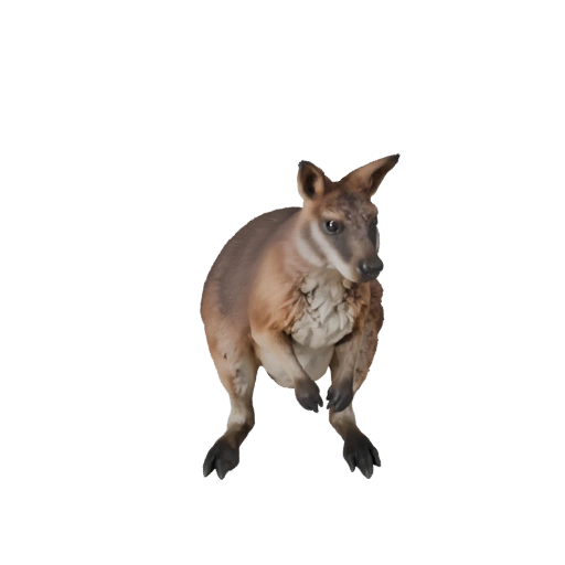 Modelo 3D de Wallaby para Unity - Asset Listo para Juego, FBX | Libre de Regalías