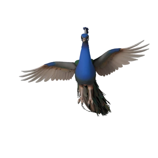Modelo 3D de Pavão para Blender - Asset PBR com Texturas | PBR