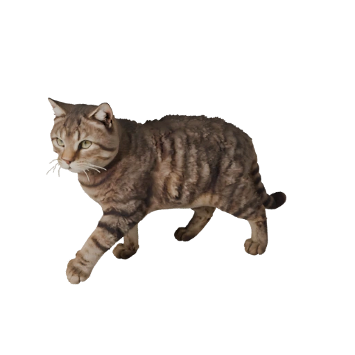 Realistic Ragdoll Cat 3D Model - Rigged PBR Asset for Games