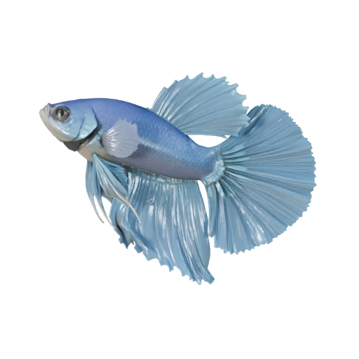 Modèle 3D de Poisson Combattant Dessin Animé - Actif Stylisé pour l'Animation