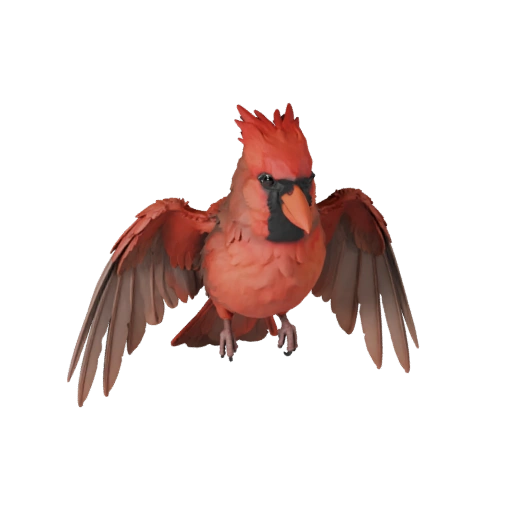 Realistic Cardinal 3D Model - Rigged PBR Asset for Games | PBR