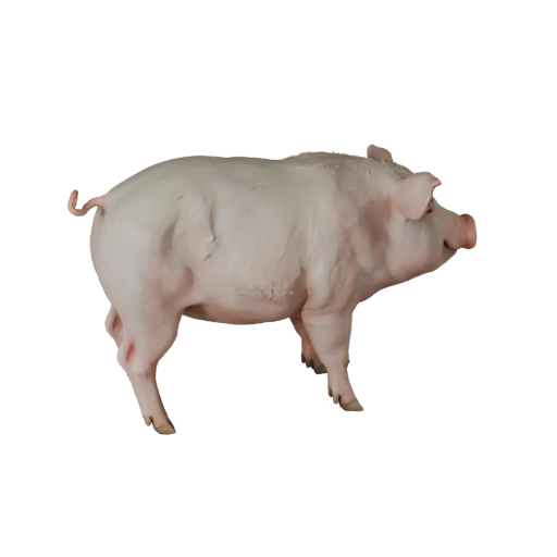 Schwein 3D Modell für Blender - PBR Asset mit Texturen | Lizenzfrei