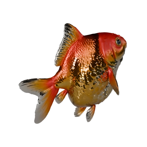 Poisson Rouge Réaliste 3D - Actif PBR Riggué pour Jeux | PBR