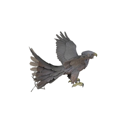 High Poly Harpy Eagle 3D Model - Detailed STL Asset for Printing