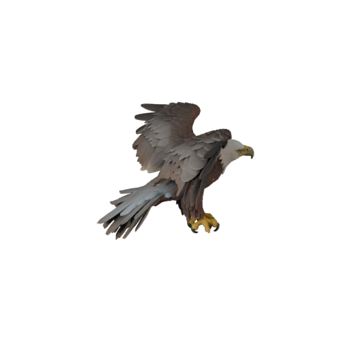 Hoher Poly Weißkopfseeadler 3D-Modell - Detailliertes STL-Asset für den Druck