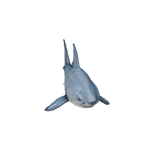 Squalo Bianco Realistico 3D Model - Asset PBR Rigged per Giochi
