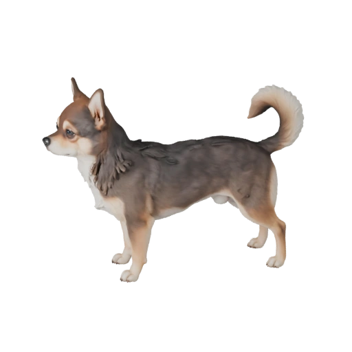 Modèle 3D de Chien Chihuahua pour Unity - Actif prêt pour le jeu, FBX | PBR