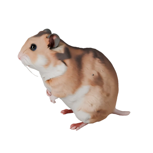 Hamster 3D Modell für Blender - PBR Asset mit Texturen | PBR