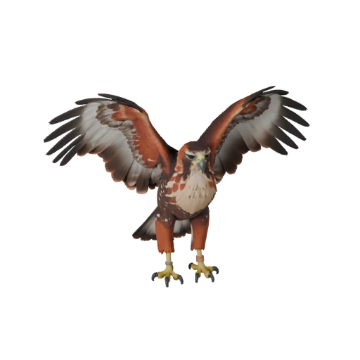 Halcón de Cola Roja Modelo 3D para Unity - Asset Listo para Juego, FBX