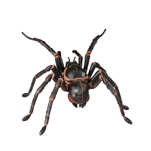 Modello 3D Tarantola Realistica - Asset Rigged PBR per Giochi | PBR