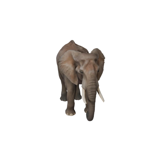 Realistic African Elephant 3D Model - Rigged PBR Asset for Games