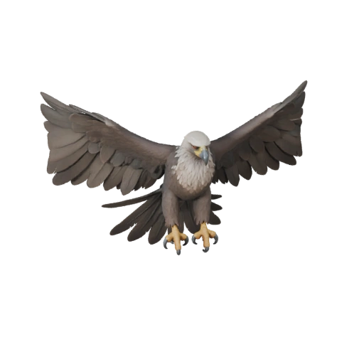 Harpy Eagle 3D Model for Unity - Game Ready Asset, FBX | PBR