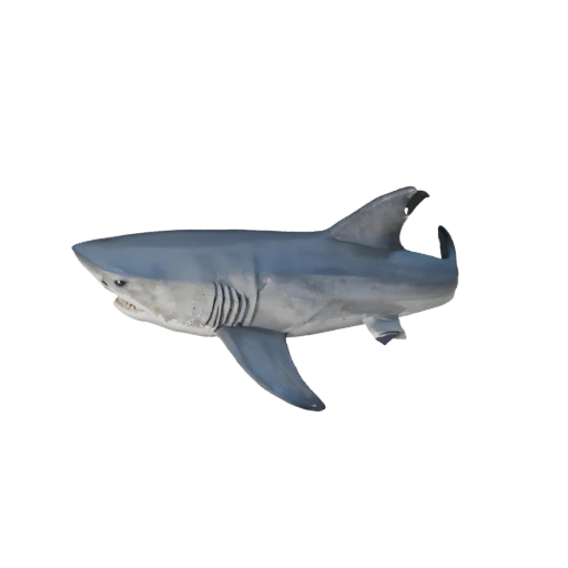 Modelo 3D de Tiburón Martillo Polygonal Bajo - Asset de Juego para Unity con FBX
