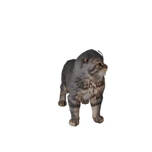 Scottish Fold 3D Modell für Blender - PBR Asset mit Texturen
