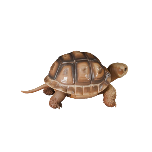 Cartoon Wüstenschildkröte 3D-Modell - Stilisierte Asset für Animation