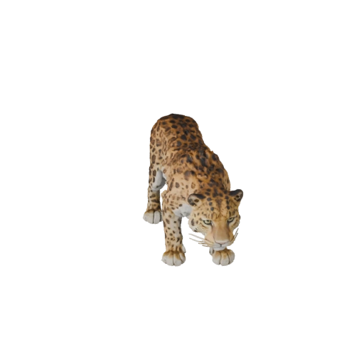 Leopard 3D Model for Unity - Game Ready Asset, FBX | Royalty-Free