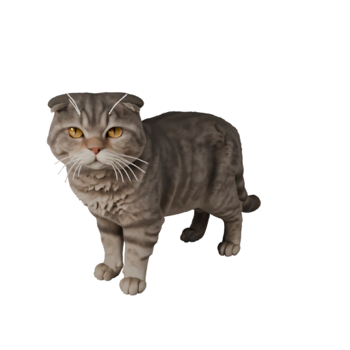 Realistisches Scottish Fold 3D-Modell - Rigged PBR Asset für Spiele
