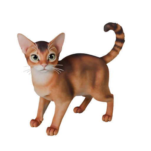 Cartoon Abessinier Katze 3D Modell - Stilisierte Ressource für Animation
