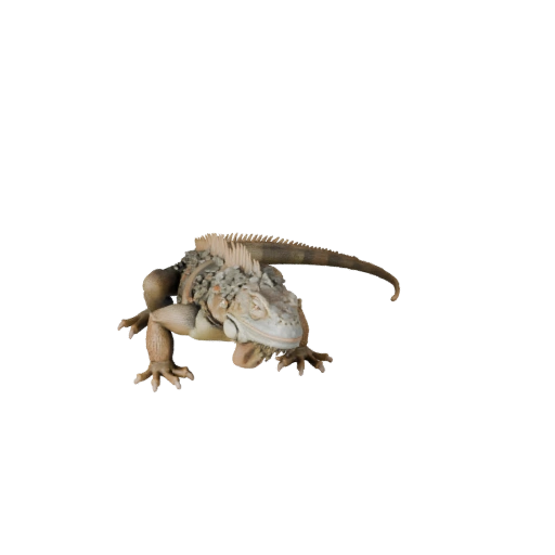 Modello 3D Iguana High Poly - Asset STL Dettagliato per la Stampa