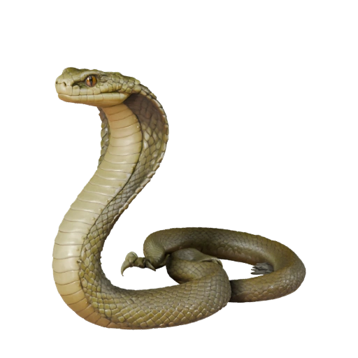 Modelo 3D de Cobra Real de Alto Poligonagem - Ativo STL Detalhado para Impressão