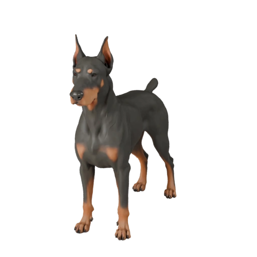 Modelo 3D de Perro Doberman para Blender - Asset PBR con Texturas