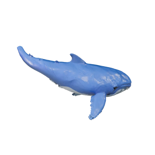 Modelo 3D de Ballena Azul para Unity - Activo Listo para Juego, FBX | Libre de Regalías